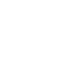 78955 icon