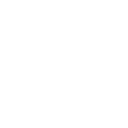 78955 icon