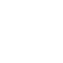 78955 icon
