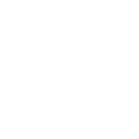 78955 icon