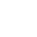 78955 icon