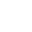 78955 icon