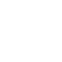 78955 icon